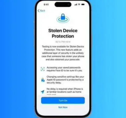 船山苹果授权维修店分享被盗设备保护功能开启方法 