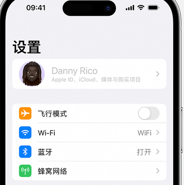 船山appleID维修服务iPhone设置中Apple ID显示为灰色无法使用