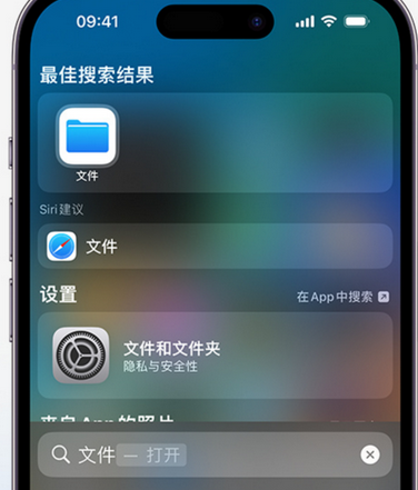 船山apple维修中心分享iPhone文件应用中存储和找到下载文件