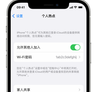 船山apple服务站点分享iPhone上个人热点丢失了怎么办