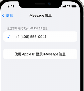 船山apple维修iPhone上无法正常发送iMessage信息 