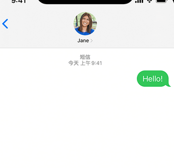 船山apple维修iPhone上无法正常发送iMessage信息