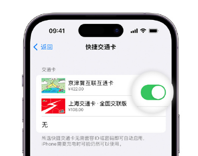 船山apple维修点分享iPhone上更换Apple Pay快捷交通卡手绘卡面 