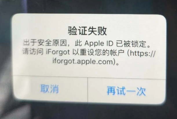 船山iPhone维修分享iPhone上正常登录或使用AppleID怎么办 