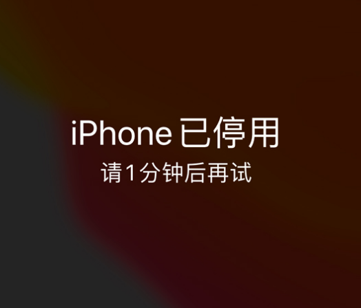 船山苹果手机维修分享:iPhone 显示“不可用”或“已停用”怎么办？还能保留数据吗？ 