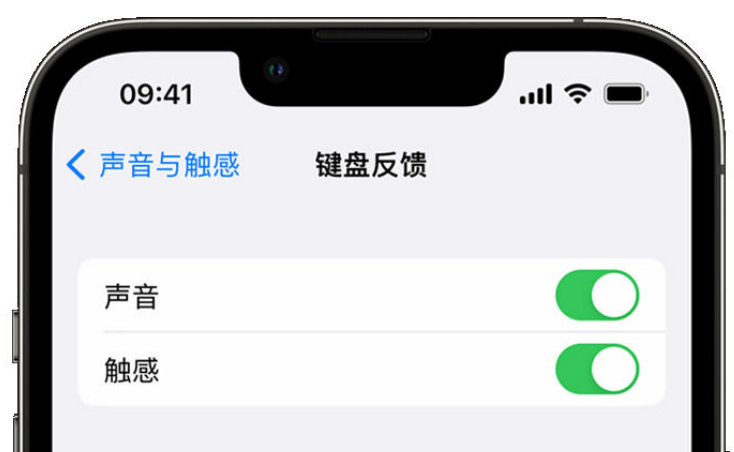 船山苹果手机维修分享iPhone 14触感键盘使用方法 