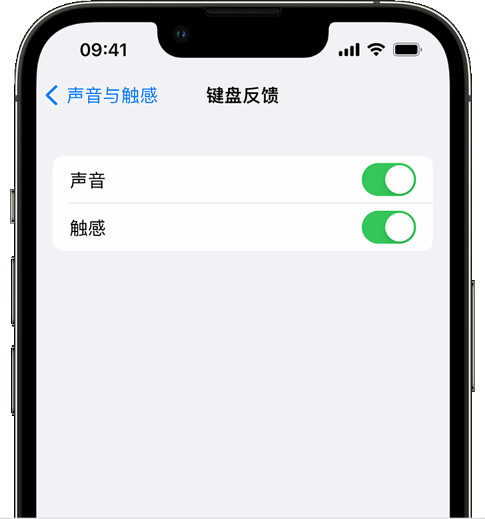 船山苹果14维修店分享如何在 iPhone 14 机型中使用触感键盘 