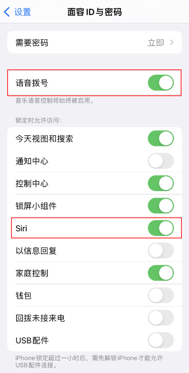 船山苹果维修网点分享不解锁 iPhone 的情况下通过 Siri 拨打电话的方法 