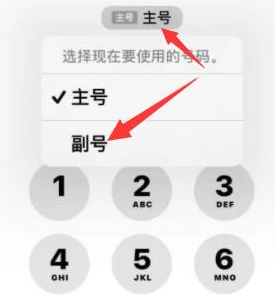 船山苹果14维修店分享iPhone 14 Pro Max使用副卡打电话的方法 