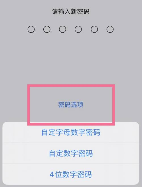 船山苹果14维修分享iPhone 14plus设置密码的方法 