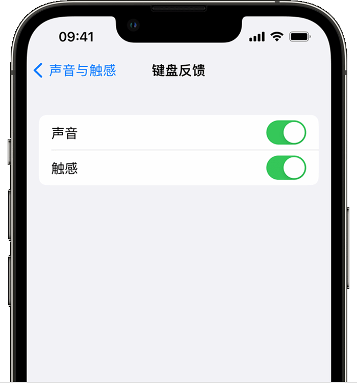 船山苹果14维修分享iPhone 14 系列机型如何开启键盘声音或触感反馈 