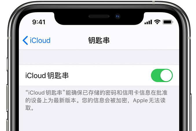 船山苹果手机维修分享在 iPhone 上开启 iCloud 钥匙串之后会储存哪些信息 