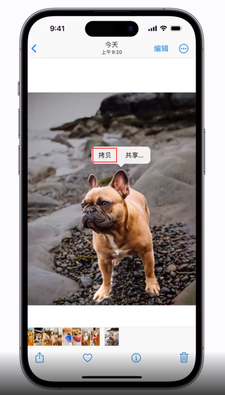 船山苹果手机维修分享 iOS 16 自带一键抠图功能 