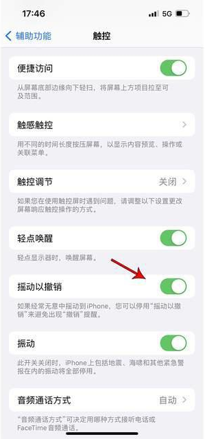 船山苹果手机维修分享iPhone手机如何设置摇一摇删除文字 