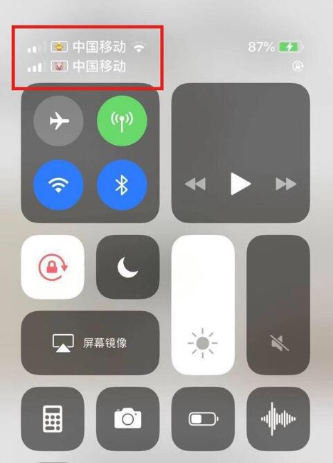 船山苹果手机维修分享为 iPhone 12 双卡设置标签 