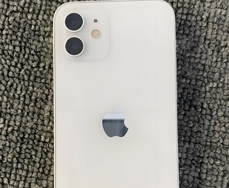 船山苹果12摄像头维修分享如何处理苹果12拍照模糊的问题
