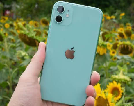 船山苹果维修点分享iPhone 11锁屏密码认知与使用科普 